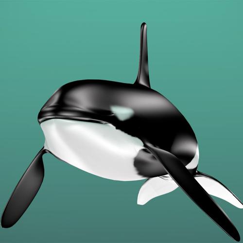 Orca  preview image